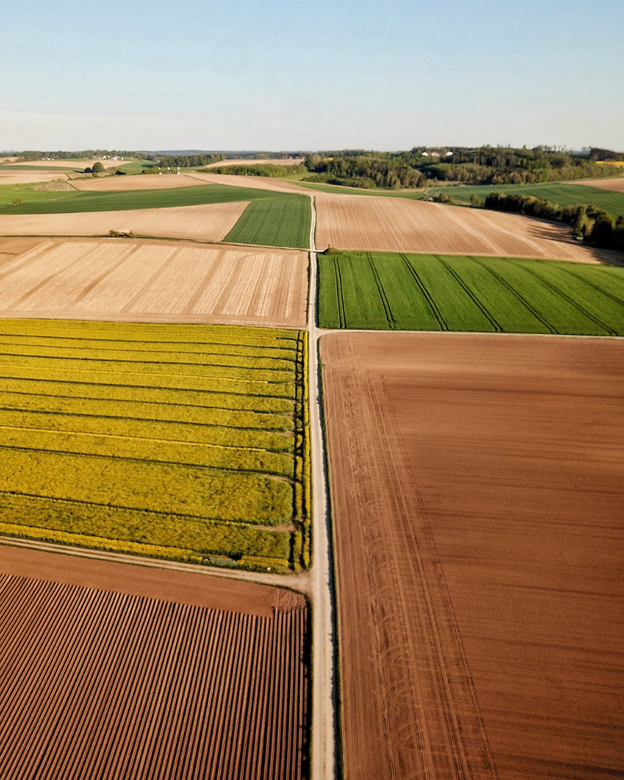 Field Crop Activation Result